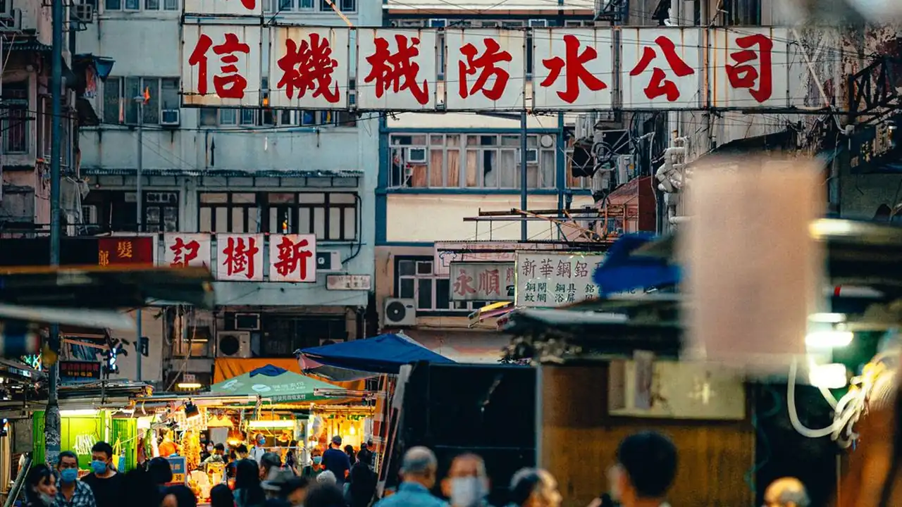 GOGOGO免费观看中国应用功能与使用场景说明
